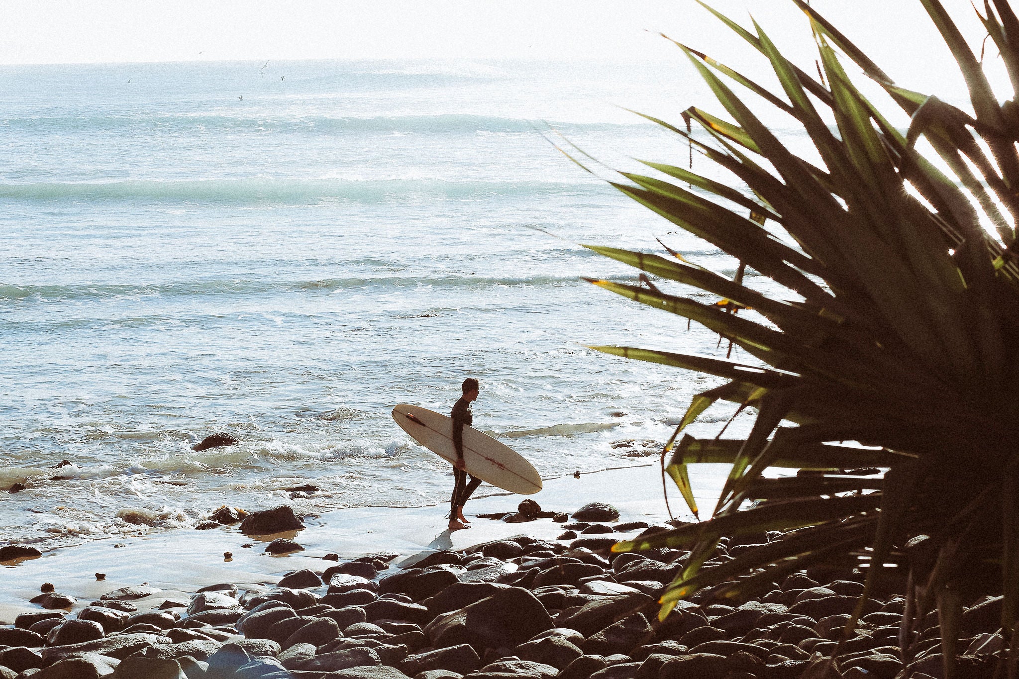 Exploring the endless waves of the Mid-North Coast